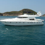 Johnson - Johnson 01