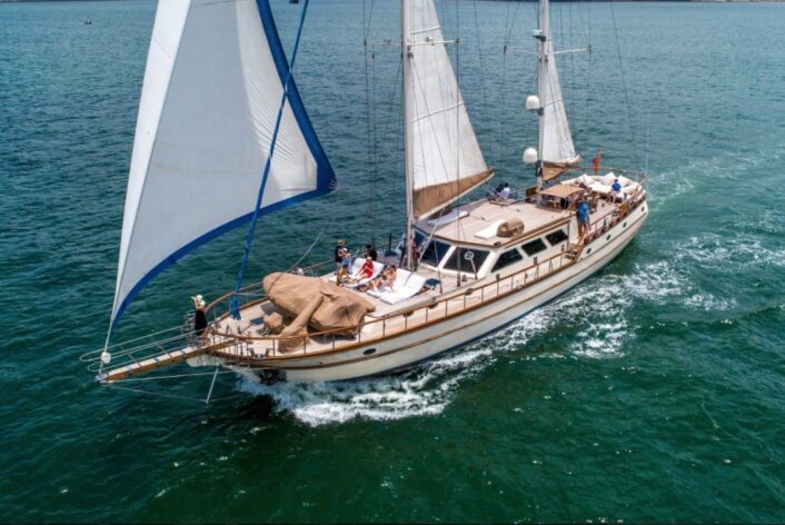 Home - LL01 706x472 1